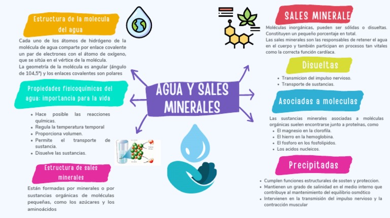 Agua y Sales minerales - GRUPO 7 | PDF | Moléculas | Sal (química)