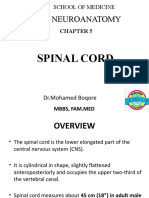 Chapter 5 Spinal Cord
