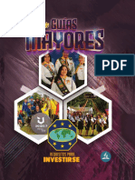 Manual de Guias Mayores