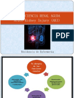 Insuficiencia Renal agudaAKI