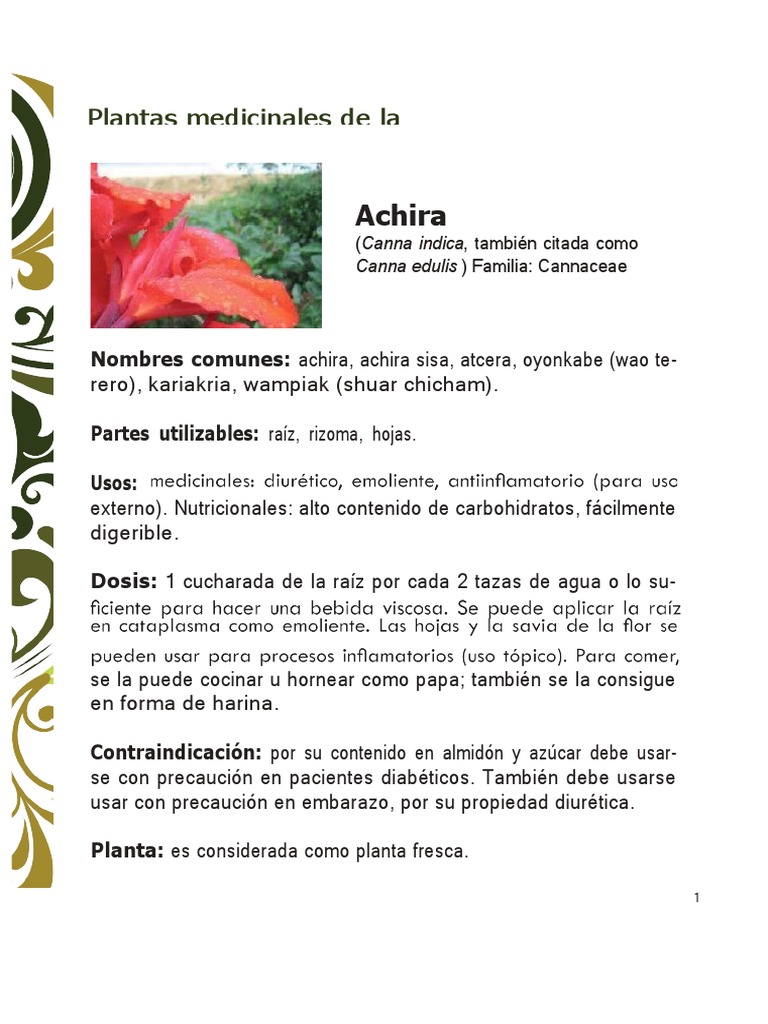 Plantas Medicinales Pdf