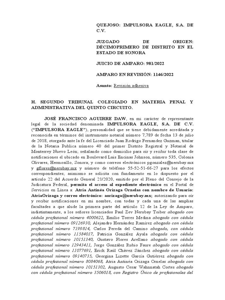 Revisión Adhesiva Impulsora Eagle-Final | PDF