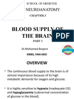 Chapter 3 Blood Supply of The Brain