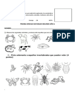 Prueba Invertebrados