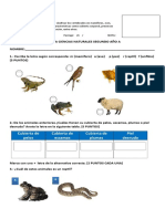 Prueba Vertebrados