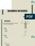 Quiropractica C11