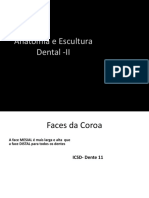 Anatomia+e+Escultura+Dental+ II +AVA