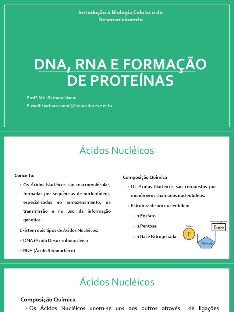 DNA%2C+RNA+e+Forma%C3%A7%C3%A3o+de+Prote%C3%ADnas 2 | PDF