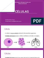 Células+2 2