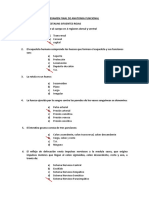 Examen Final Anatomia Estalins