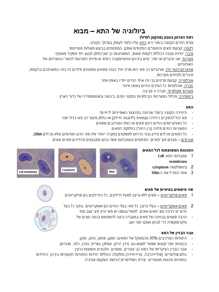 ביולוגיה של התא - סיכום שני אגוזי | PDF