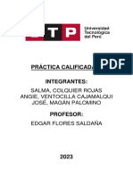 Annotated Pr%c3%81ctica Calificada1