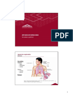 05 - Vie Aeree e Polmoni