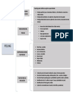 Cuadro de Conceptos Peeling Parte 2