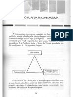 Fundamentos Da Psicopedagogia - Acampora