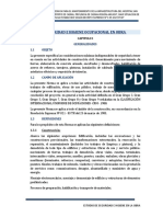 4.02. Plan de Seguridad y Salud en El Trabajo