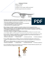 Eval. Pruebas Evolutivas