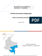 OEE YC DV Perfil Regional Amazonia Orinoquia 26may23