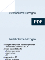 Metabolisme Nitrogen