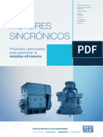 WEG Motores Sincronicos 50027895 Catalogo Espanol DC