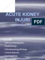 Acute Kidney Injuri: Professor Ibrahim Ummate