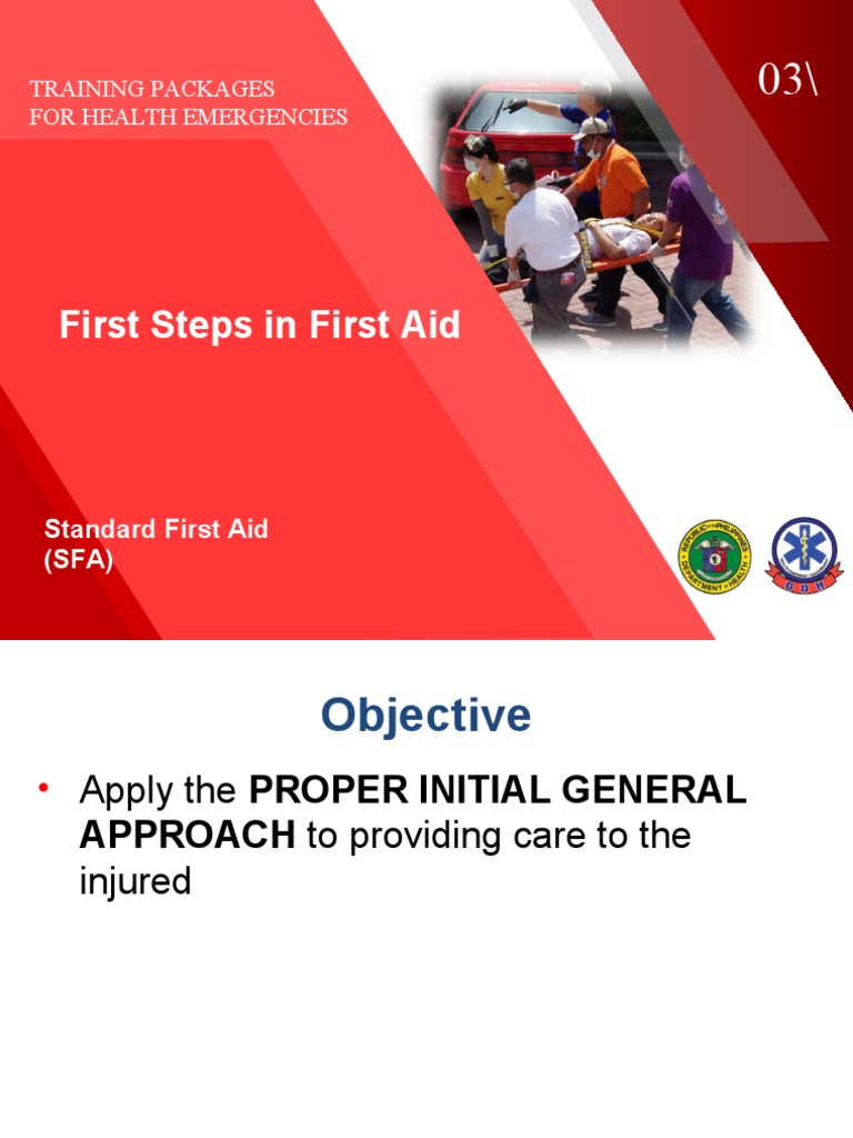 Basic Life Support 2 (Review of Standard First Aid) PDF First Aid