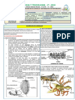 Actividad 30 EXCRECIÓN EN ANIMALES