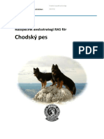 Rasspecifik Avelsstrategi RAS För Chodský Pes