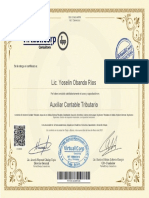 Auxiliar Contable Tributario