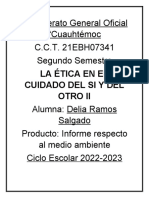 Informe