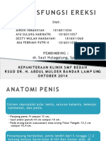 Disfungsi Ereksi PDF Free
