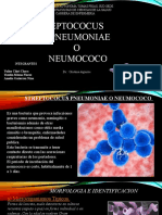 Streptococus Pneumoniae o Neumocoo