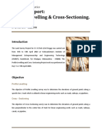 Project Report: Profile Levelling & Cross-Sectioning.: Surveying & Geomatics