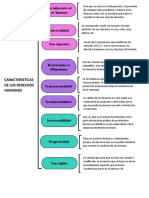 Caracteristicas de Los Derechos Humanos