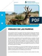 Ficha Venado de Las Pampas72