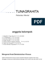 Anak Tunagrahita