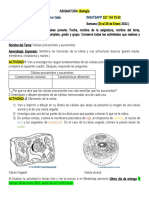 Actividad Biologia 24ene22