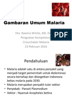 Gambaran Umum Malaria. Penguatan Crossceker Malaria 10022016