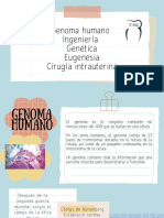 Genoma Humano Ingeniería Genética Eugenesia Cirugía Intrauterina