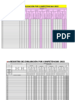 Registro de Evaluación Por Competencias (2)