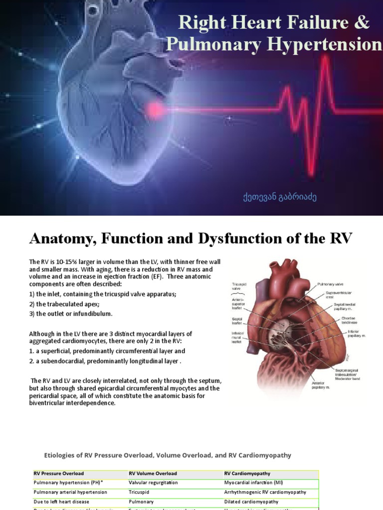 RV&PAH PDF Heart Heart Failure
