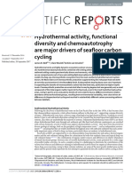 6-Bell 2017 Hydrothermal Activity, Functional Diversity and Chemoautotrophy Are Major Drivers of Seafloor Carbon Cycling