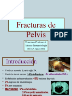 Seminario Pelvis Completo Junio 2004