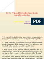 Special Horticultural Practices in Vegetable Production