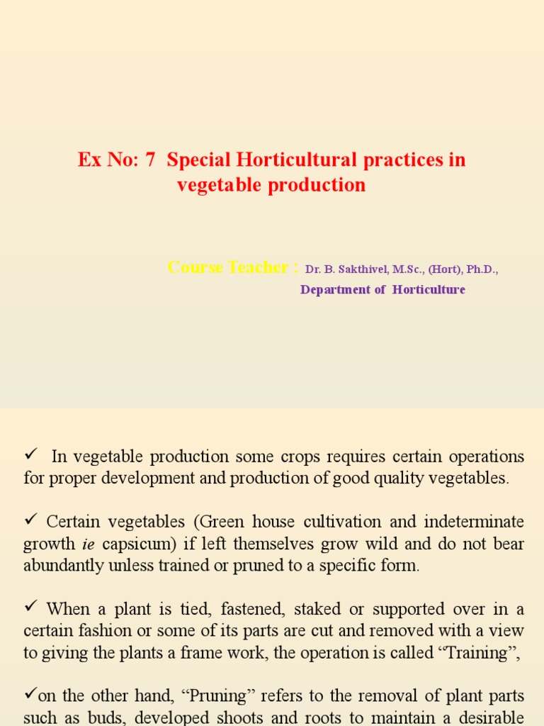 Special Horticultural Practices In Vegetable Production Pdf Pruning
