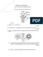 Upk 1 Bio T5 Bahagian C