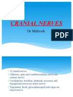 Cranial Nerves