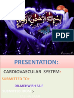 Cardiovascular System