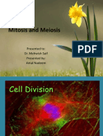 Mitosis and Meiosis