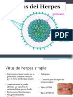Virus de Herpes Expo
